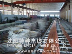 绝缘防火电缆 守护生命与财产的安全屏障